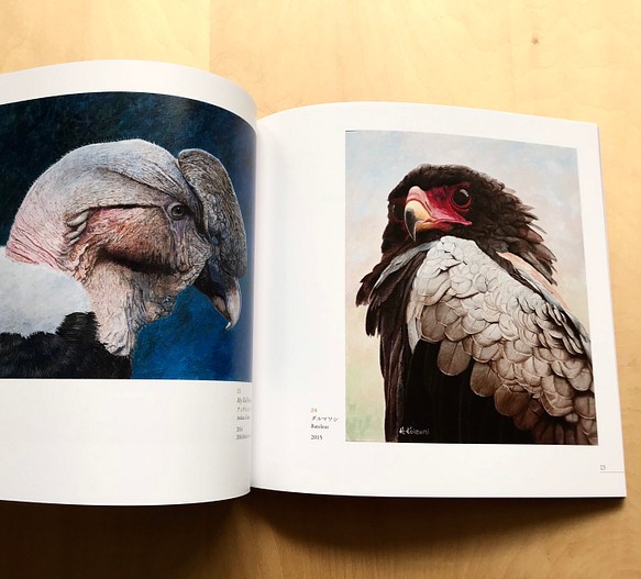 【画集】The Art of Haruki Koizumi/野生動物、鳥 6枚目の画像