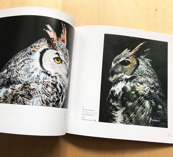 【画集】The Art of Haruki Koizumi/野生動物、鳥 7枚目の画像