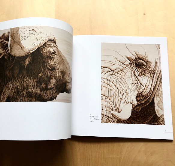 【画集】The Art of Haruki Koizumi/野生動物、鳥 8枚目の画像