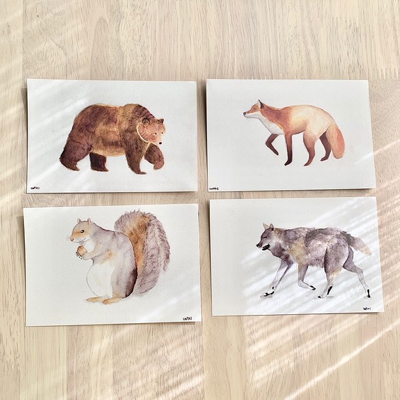 森の動物たちポストカードセット 1枚目の画像