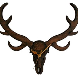 鹿頭骨時計 Deer skull clock 1枚目の画像
