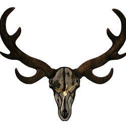 鹿頭骨時計 Deer skull clock 1枚目の画像