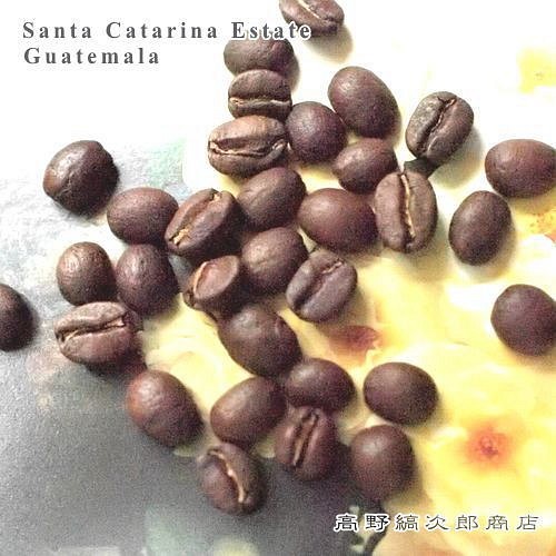 グァテマラ　サンタカタリーナ農園　シティロースト【スペシャルティコーヒー豆 200g】 1枚目の画像