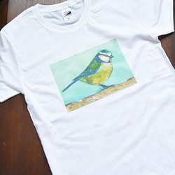 ブルーの小鳥Tシャツ　鳥のTシャツ　野鳥　アオガラ　油絵をアイロンプリント　白・ホワイト 1枚目の画像