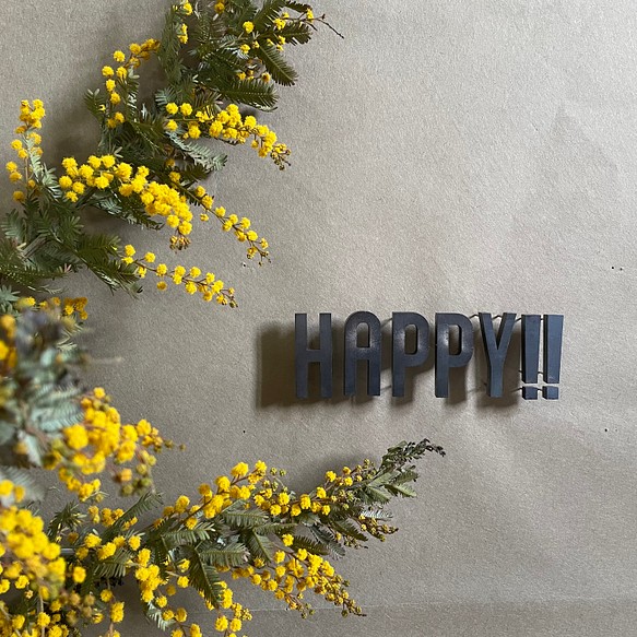 IRON ROGOPIN アイアンロゴピン「HAPPY‼︎」 1枚目の画像