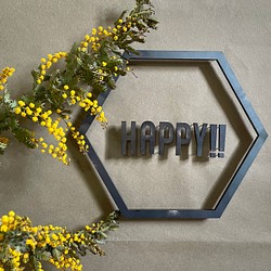 アイアンロゴピン「HAPPY‼︎」六角形枠 1枚目の画像