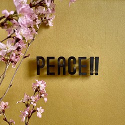アイアンロゴピン「PEACE‼︎」 1枚目の画像