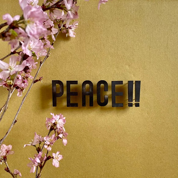アイアンロゴピン「PEACE‼︎」 1枚目の画像