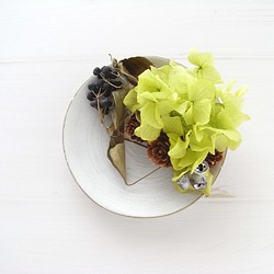 花皿-lime 1枚目の画像