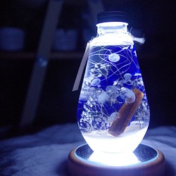 【作り立て!再販4】jellyfish（LED別売）　月夜のゆめ　濃いブルーとホワイトのコントラスト。男性にもオススメ！ 1枚目の画像