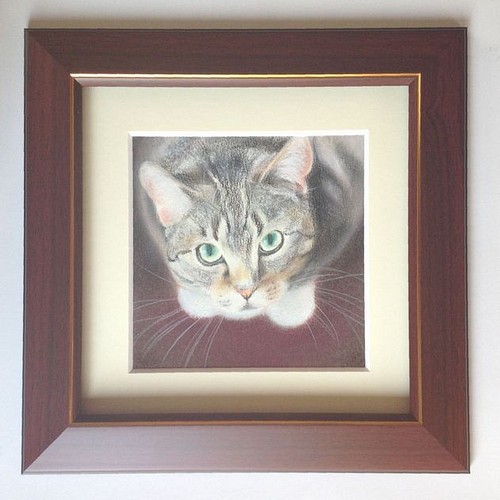見上げる猫（パステル画 原画） 額装込み 絵画 にゃんずら 通販 