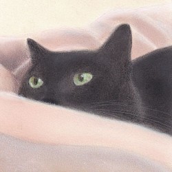 黒猫（パステル画　原画）　額装込み 1枚目の画像