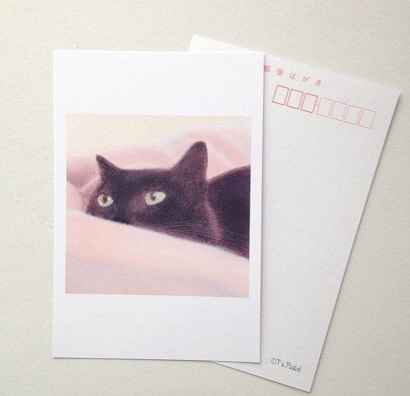 ６９　選べるポストカード　黒猫  5枚セット 1枚目の画像