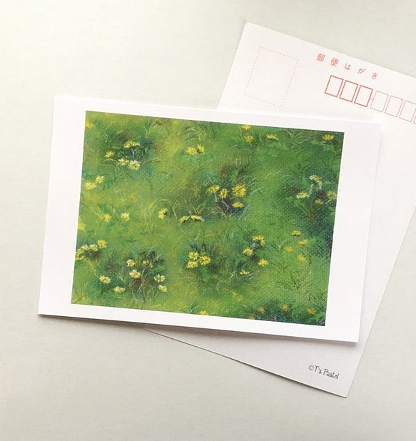 １１　選べるポストカード　たんぽぽの咲く頃 5枚セット 1枚目の画像