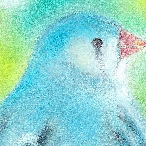 青い鳥⑦（パステル画 原画） 額装込み 絵画 にゃんずら 通販｜Creema