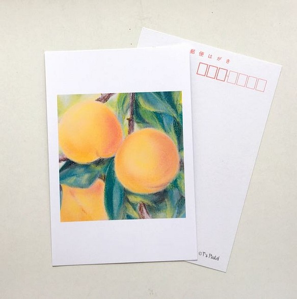 １１８　選べるポストカード　黄桃　5枚セット 1枚目の画像