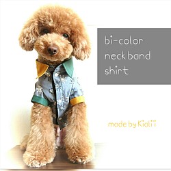 bi-color neck band shirt 1枚目の画像