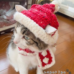 ウェーブモヘア猫ちゃんサンタ帽 1枚目の画像