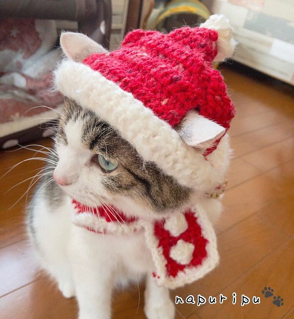 ウェーブモヘア猫ちゃんサンタ帽 1枚目の画像