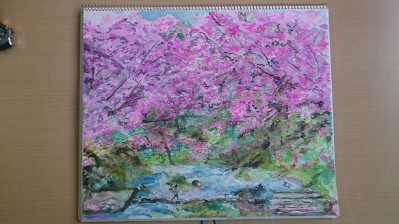 桜の群生と散歩する少年 1枚目の画像