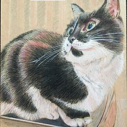 ペットの肖像画　A4色鉛筆画（オーダー制作） 1枚目の画像