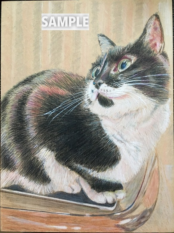ペットの肖像画　A4色鉛筆画（オーダー制作） 1枚目の画像