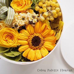 Coffret Collection/Citrus Yellow 1枚目の画像