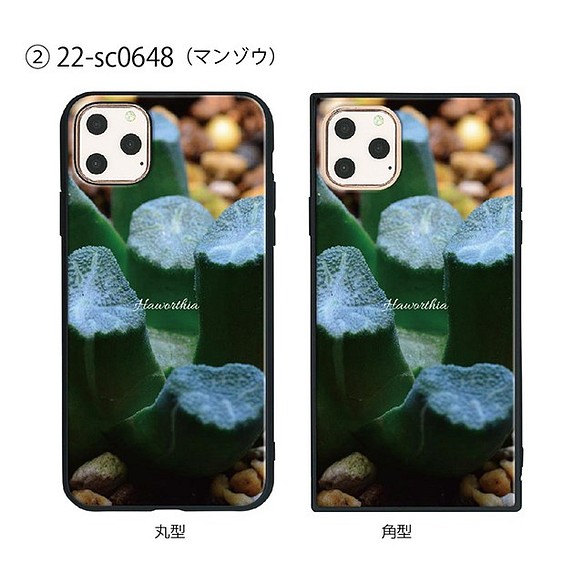 ガラス保護フィルム付 iPhone 11 Pro ケース 特別セール品 プラント植物 人気ブレゼント! Max