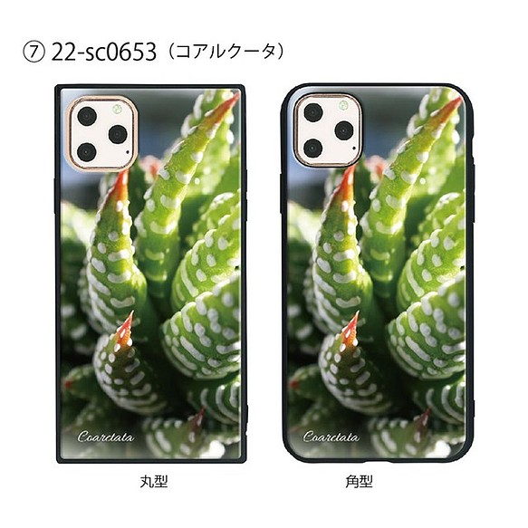 超人気 専門店 ガラス保護フィルム付 税込 iPhone 11 Pro プラント植物 ケース Max