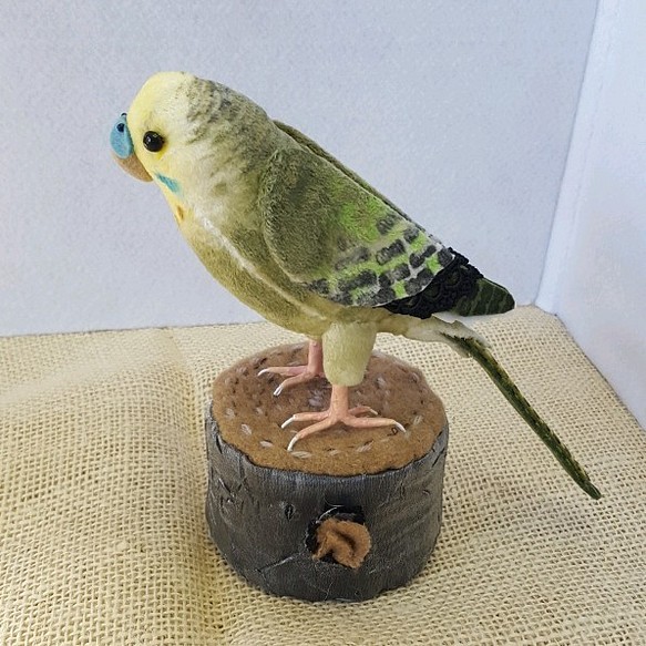 緑セキセイインコオス ぬいぐるみ Tara 通販 Creema クリーマ ハンドメイド 手作り クラフト作品の販売サイト