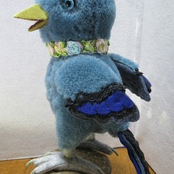 幸福の青い鳥 1枚目の画像