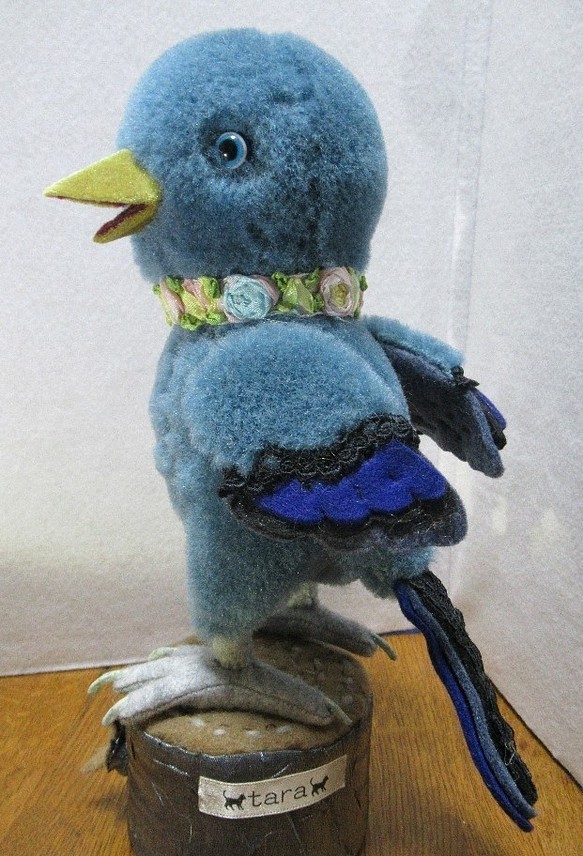 幸福の青い鳥 1枚目の画像