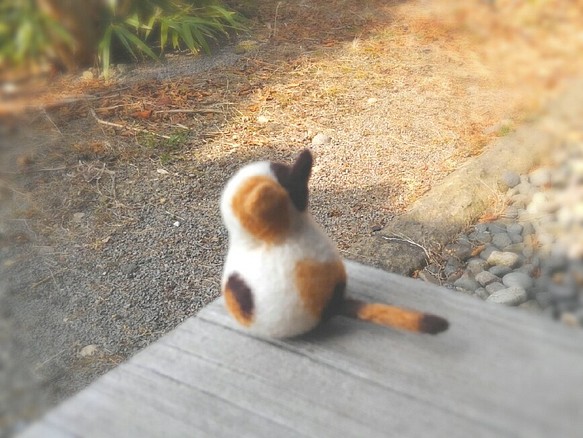 Mihoko貓逃亡【訂購生產】 第1張的照片