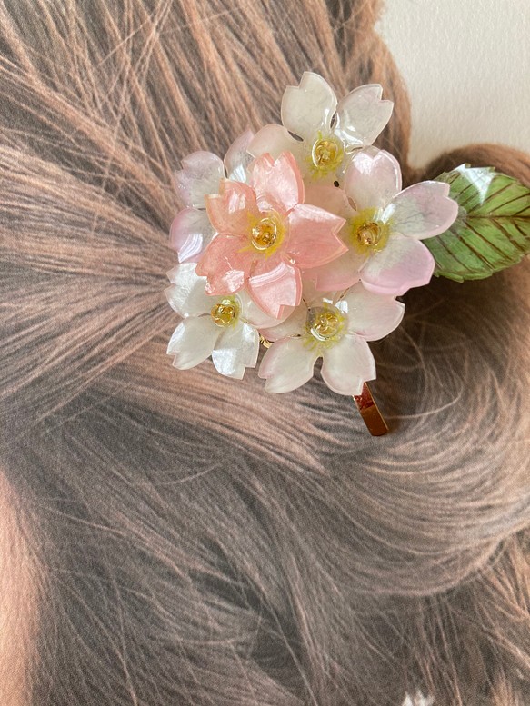 桜色の満開 丸型 ポニーフック さくら髪飾り 1枚目の画像
