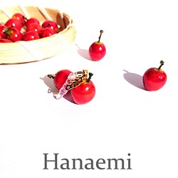 完熟リンゴ イヤホンジャック　（受注製作）『秋ハンドメイド2018』 1枚目の画像