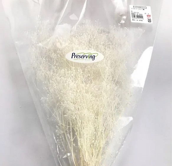 ソフトミニカスミ草　白1袋（茎付22g）プリザーブドフラワー　かすみ草 1枚目の画像