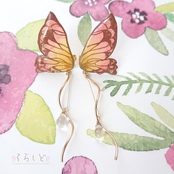 季節の蝶～秋〜 ୨୧ ピアス イヤリング 1枚目の画像