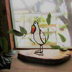 個性のある鳥さん・ハシビロコウ・水辺・プレゼント 1枚目の画像