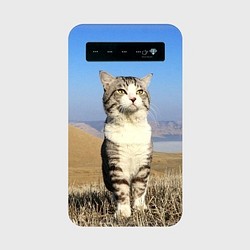 ニャン吉モバイルバッテリー+ microUSBケーブル（蓄電用コード）【猫神さま】＊受注製作＊ 1枚目の画像