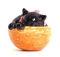 黒猫−カゴで寝る 1枚目の画像