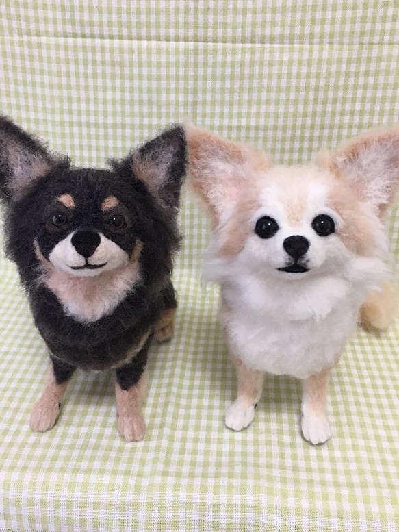 信託 ときめき様専用➁ 羊毛フェルト ♡ヨーキー ♡チワワ 犬 オーダー