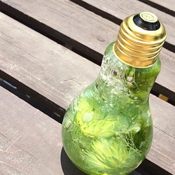 電球ボトルのハーバリウム～green～ 1枚目の画像