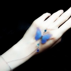 ～ Papilionoidea【Aura】～ 1枚目の画像