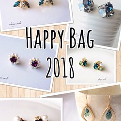【1/5まで】Happy Bag 2018＊Cool 1枚目の画像