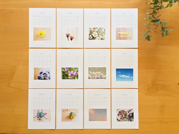 《送料無料》  2021年 花のポストカードサイズ カレンダー 1枚目の画像