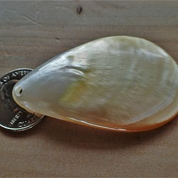 バリ島産白蝶貝　ペンダントトップ　大きめ滴型 1枚目の画像