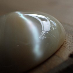 沖縄産夜光貝　穴なしパーツ　卵型10㎜厚 1枚目の画像
