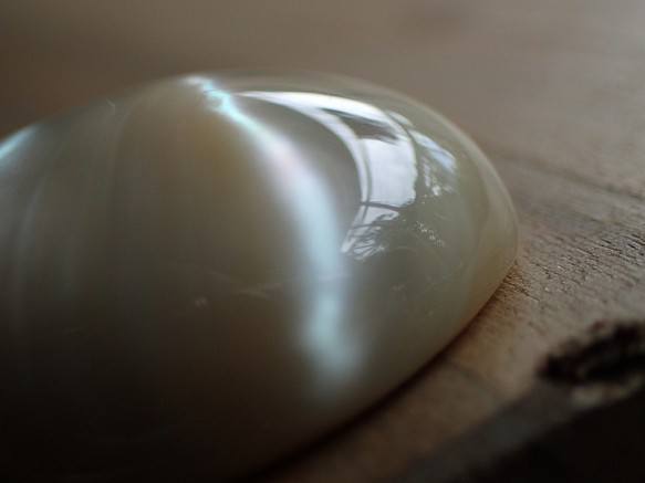 沖縄産夜光貝　穴なしパーツ　卵型10㎜厚 1枚目の画像
