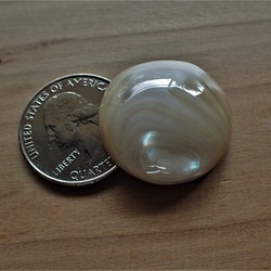 沖縄産夜光貝　穴なしパーツ　いびつな円形 1枚目の画像