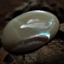 沖縄産夜光貝　穴なしパーツ　オーバル型8㎜厚 1枚目の画像